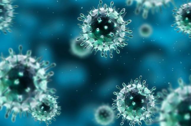 ITPC оновила останню інформацію по коронавірусу